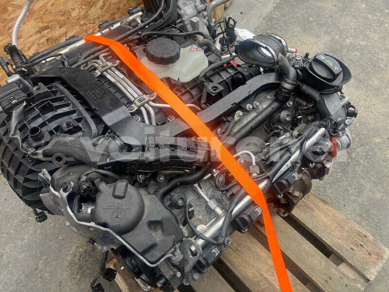 Big with watermark g