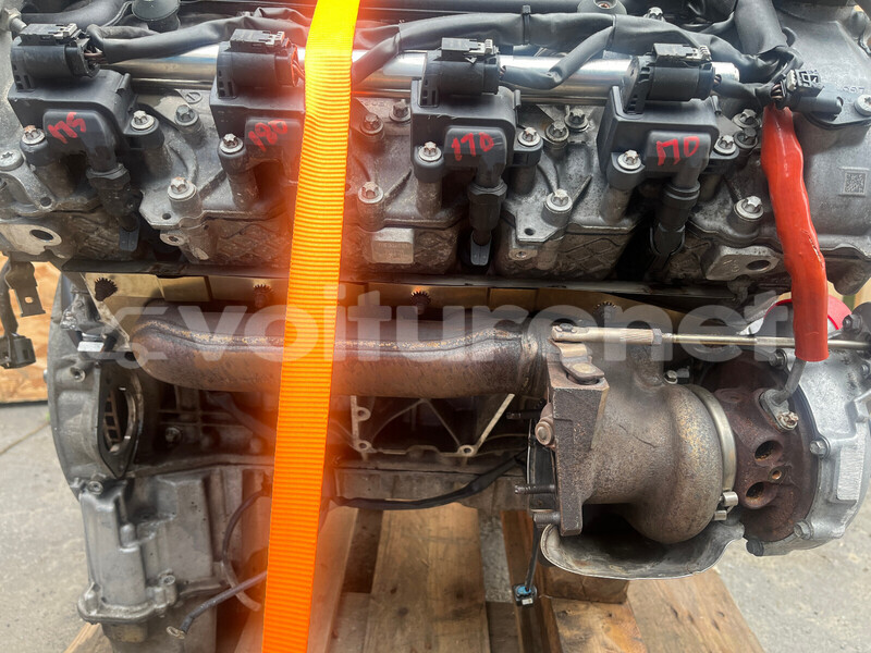 Big with watermark h