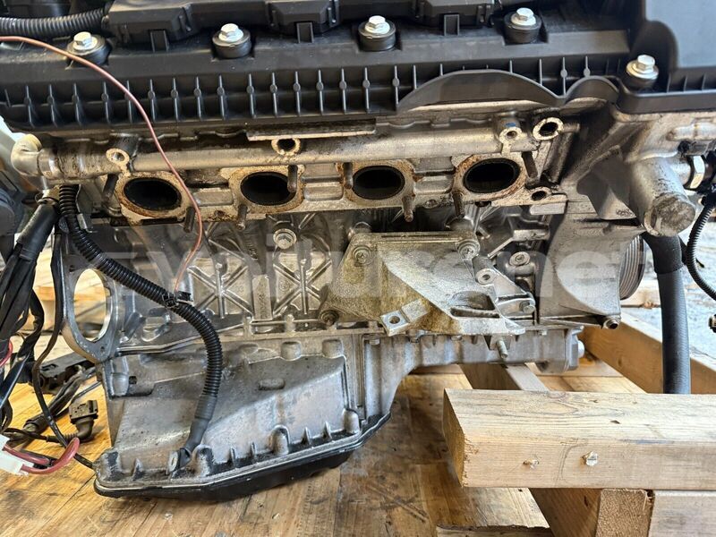 Big with watermark 6