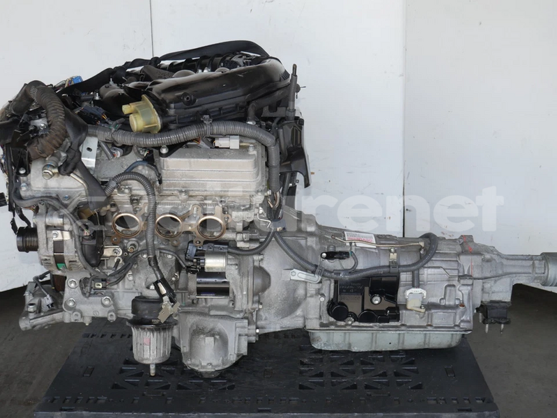 Big with watermark image c