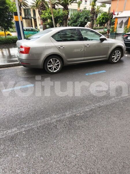 Big with watermark skoda octavia casablanca ad dar al bayda 2620