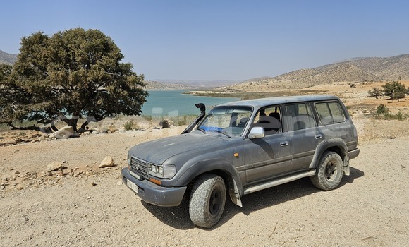 Acheter Occasion Voiture Toyota Land Cruiser Gris vert à Sidi Ifni, Guelmim