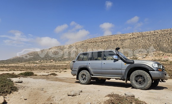 Acheter Occasion Voiture Toyota Land Cruiser Gris vert à Sidi Ifni, Guelmim Acheter Occasion Voiture Toyota Land Cruiser Gris vert à Sidi Ifni, Guelmim
