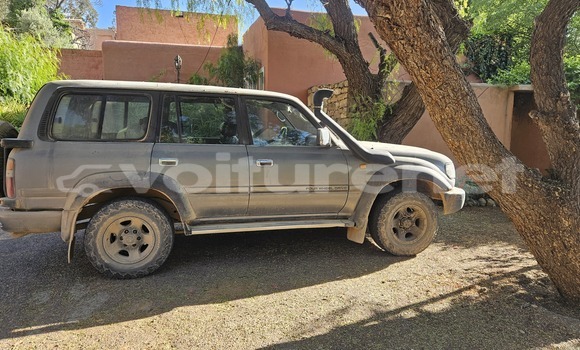 Acheter Occasion Voiture Toyota Land Cruiser Gris vert à Sidi Ifni, Guelmim Acheter Occasion Voiture Toyota Land Cruiser Gris vert à Sidi Ifni, Guelmim