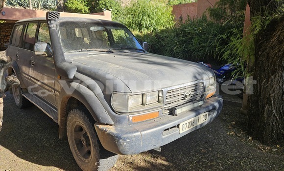 Acheter Occasion Voiture Toyota Land Cruiser Gris vert à Sidi Ifni, Guelmim Acheter Occasion Voiture Toyota Land Cruiser Gris vert à Sidi Ifni, Guelmim