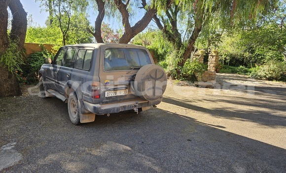 Acheter Occasion Voiture Toyota Land Cruiser Gris vert à Sidi Ifni, Guelmim Acheter Occasion Voiture Toyota Land Cruiser Gris vert à Sidi Ifni, Guelmim