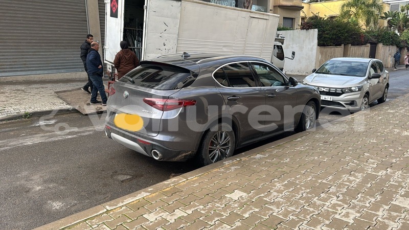 Big with watermark alfa romeo stelvio casablanca casablanca 2635