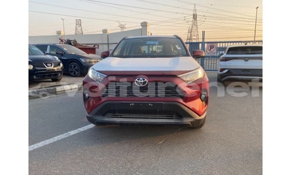 Acheter Import Voiture Toyota RAV 4 Rouge à Import - Dubai, Agadir
