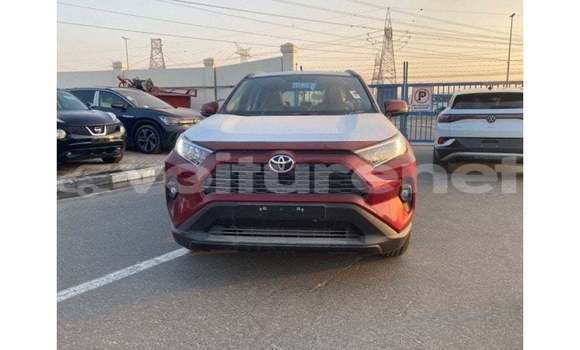 Acheter Import Voiture Toyota RAV 4 Rouge à Import - Dubai, Agadir Acheter Import Voiture Toyota RAV 4 Rouge à Import - Dubai, Agadir