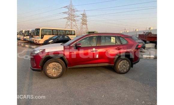 Acheter Import Voiture Toyota RAV 4 Rouge à Import - Dubai, Agadir Acheter Import Voiture Toyota RAV 4 Rouge à Import - Dubai, Agadir