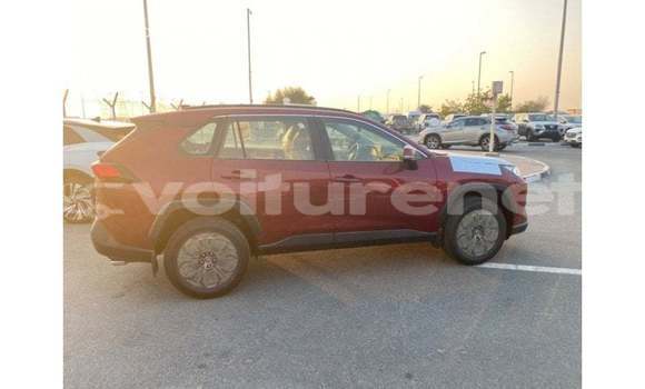 Acheter Import Voiture Toyota RAV 4 Rouge à Import - Dubai, Agadir Acheter Import Voiture Toyota RAV 4 Rouge à Import - Dubai, Agadir