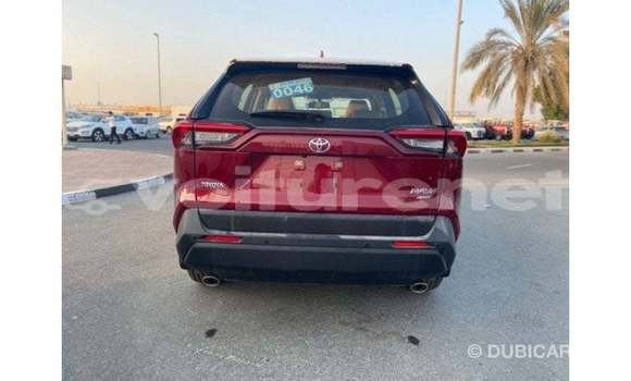 Acheter Import Voiture Toyota RAV 4 Rouge à Import - Dubai, Agadir Acheter Import Voiture Toyota RAV 4 Rouge à Import - Dubai, Agadir
