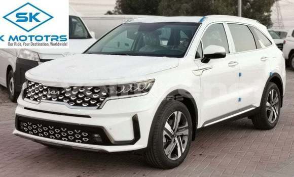 Acheter Import Voiture Kia Sorento Blanc à Import - Dubai, Agadir