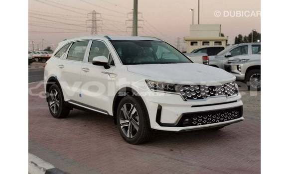 Acheter Import Voiture Kia Sorento Blanc à Import - Dubai, Agadir Acheter Import Voiture Kia Sorento Blanc à Import - Dubai, Agadir