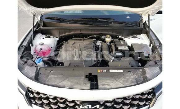 Acheter Import Voiture Kia Sorento Blanc à Import - Dubai, Agadir Acheter Import Voiture Kia Sorento Blanc à Import - Dubai, Agadir