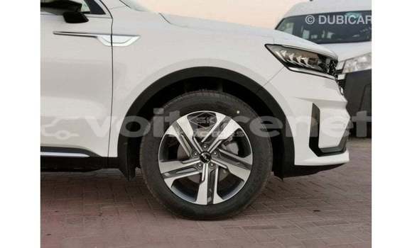 Acheter Import Voiture Kia Sorento Blanc à Import - Dubai, Agadir Acheter Import Voiture Kia Sorento Blanc à Import - Dubai, Agadir