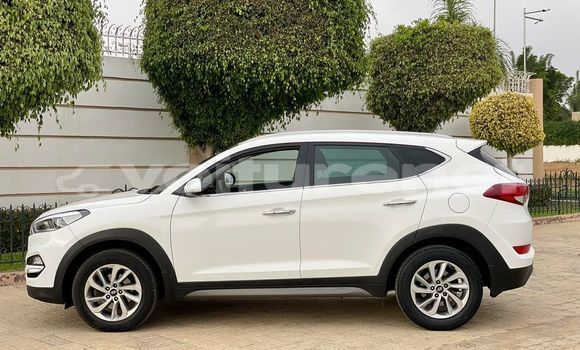 Buy Used Hyundai Tucson White Car in ad-Dar-al-Bayda in Casablanca