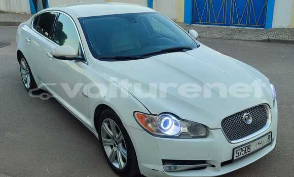 Buy Used Jaguar XF White Car in Mohammedia in Casablanca