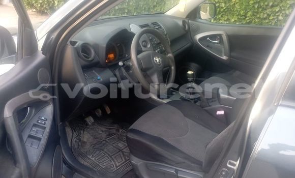 Buy Used Toyota RAV4 Black Car in ad-Dar-al-Bayda in Casablanca Buy Used Toyota RAV4 Black Car in ad-Dar-al-Bayda in Casablanca